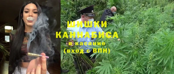 молекула духа Кинешма