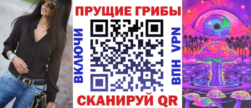 Псилоцибиновые грибы Cubensis  Кисловодск 