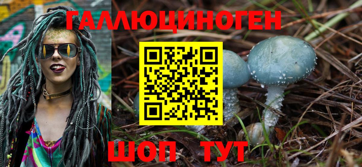 Галлюциногенные грибы прущие грибы  цена   Псилоцибиновые грибы Psilocybe  Кисловодск  Вход с VPN 